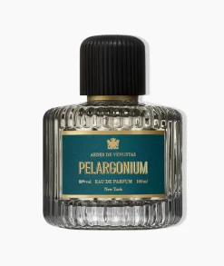 Pelargonium AEDES DE VENUSTAS- Aromatic